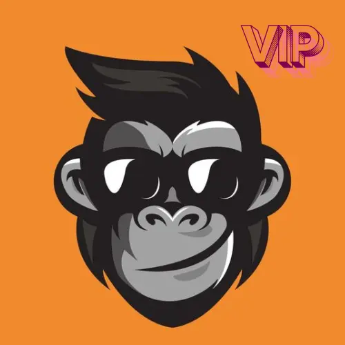 VIP RANK